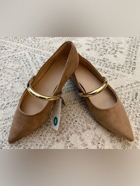 NWT A New Day Cassidee Metal Mary Jane Flat Pointed Toe Taupe  Memory Foam Sz 8